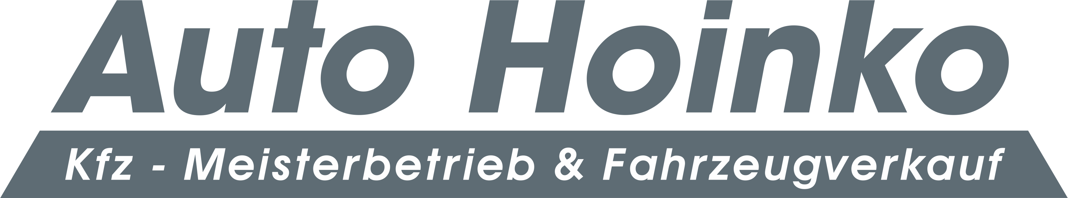 Logo Auto Hoinko Augsburg Friedberg